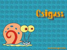 Csigusz